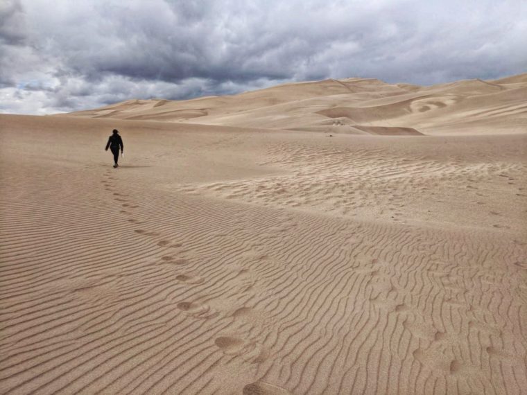 adventureblooms great sand dunes national park