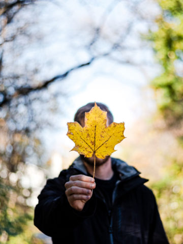 person holding yellow leaf in front of face