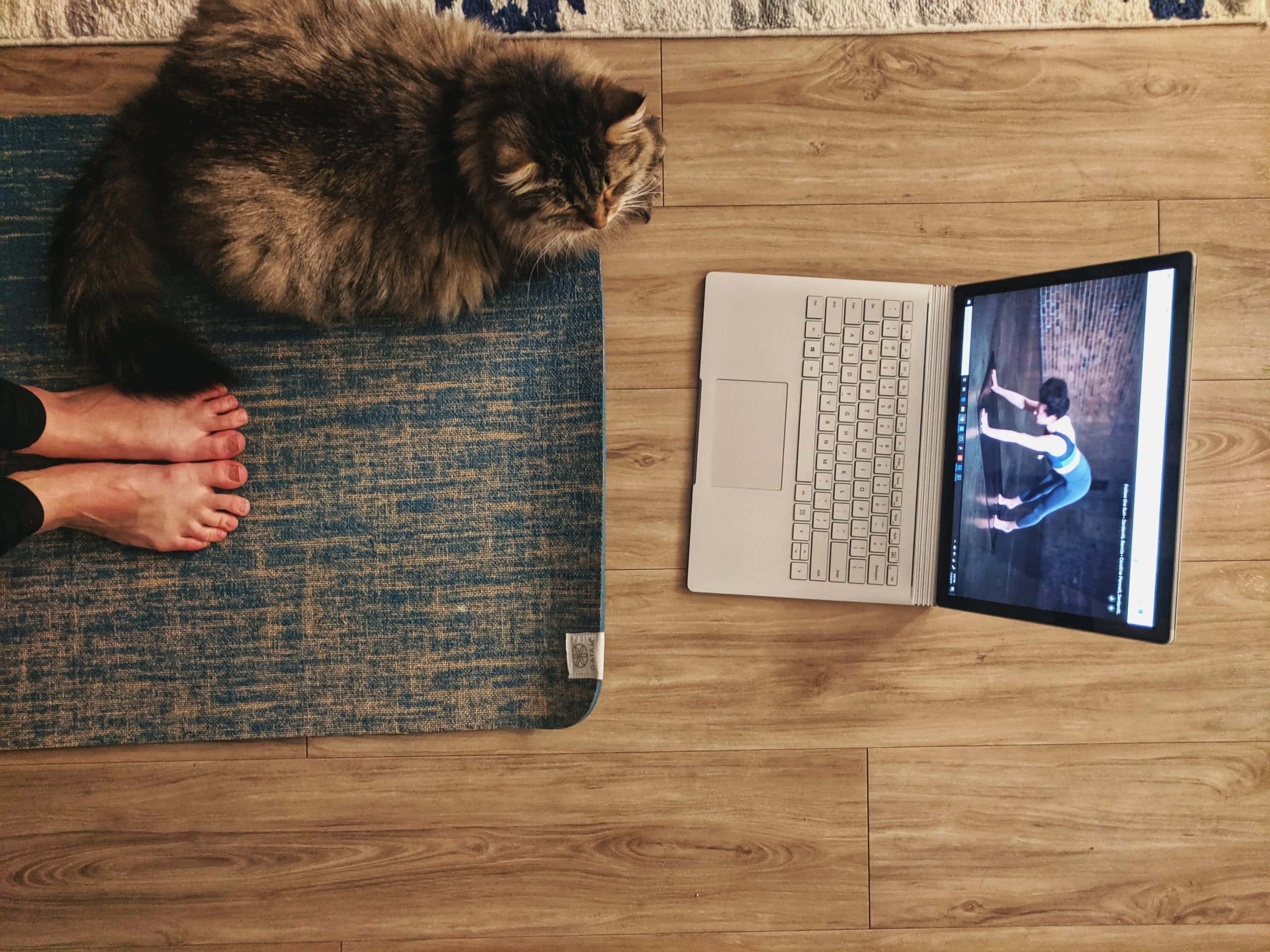 Overhead of person's feet on yoga mat with a cat 
