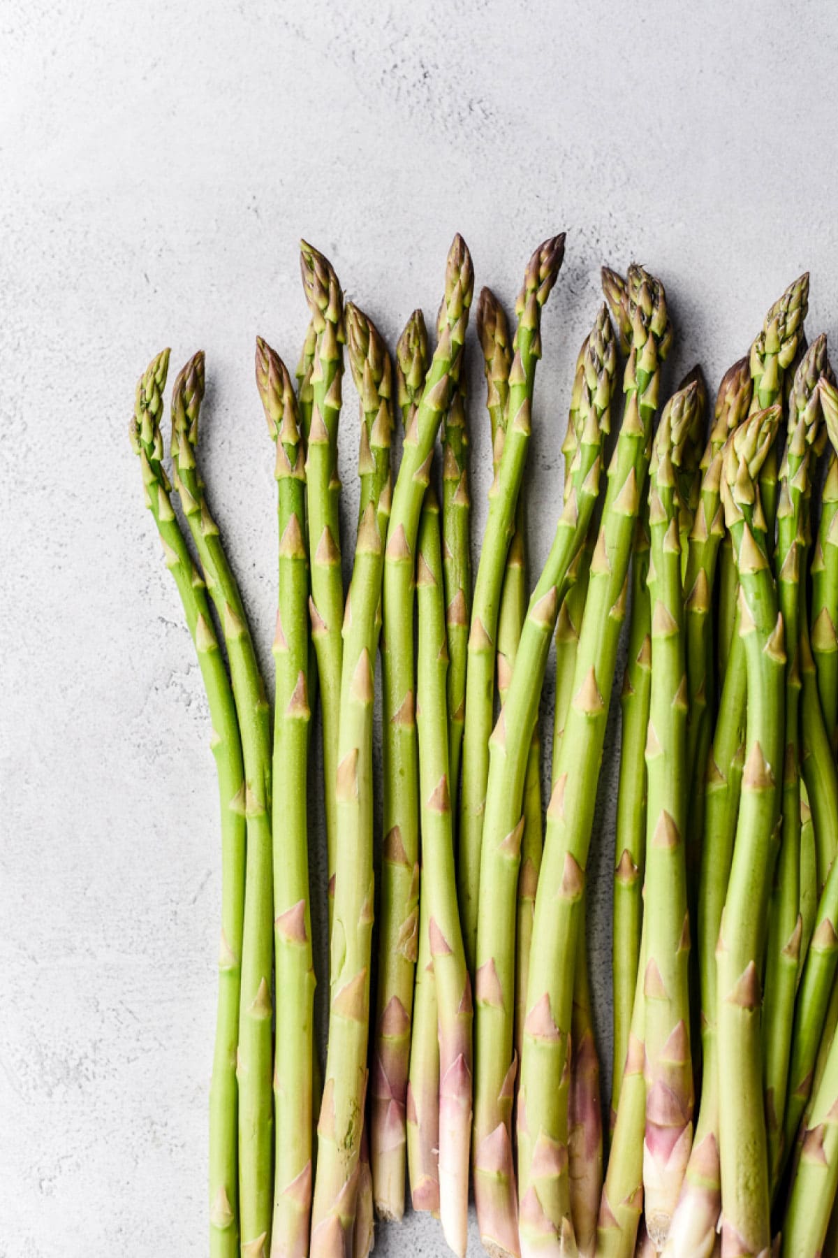 asparagus on light background
