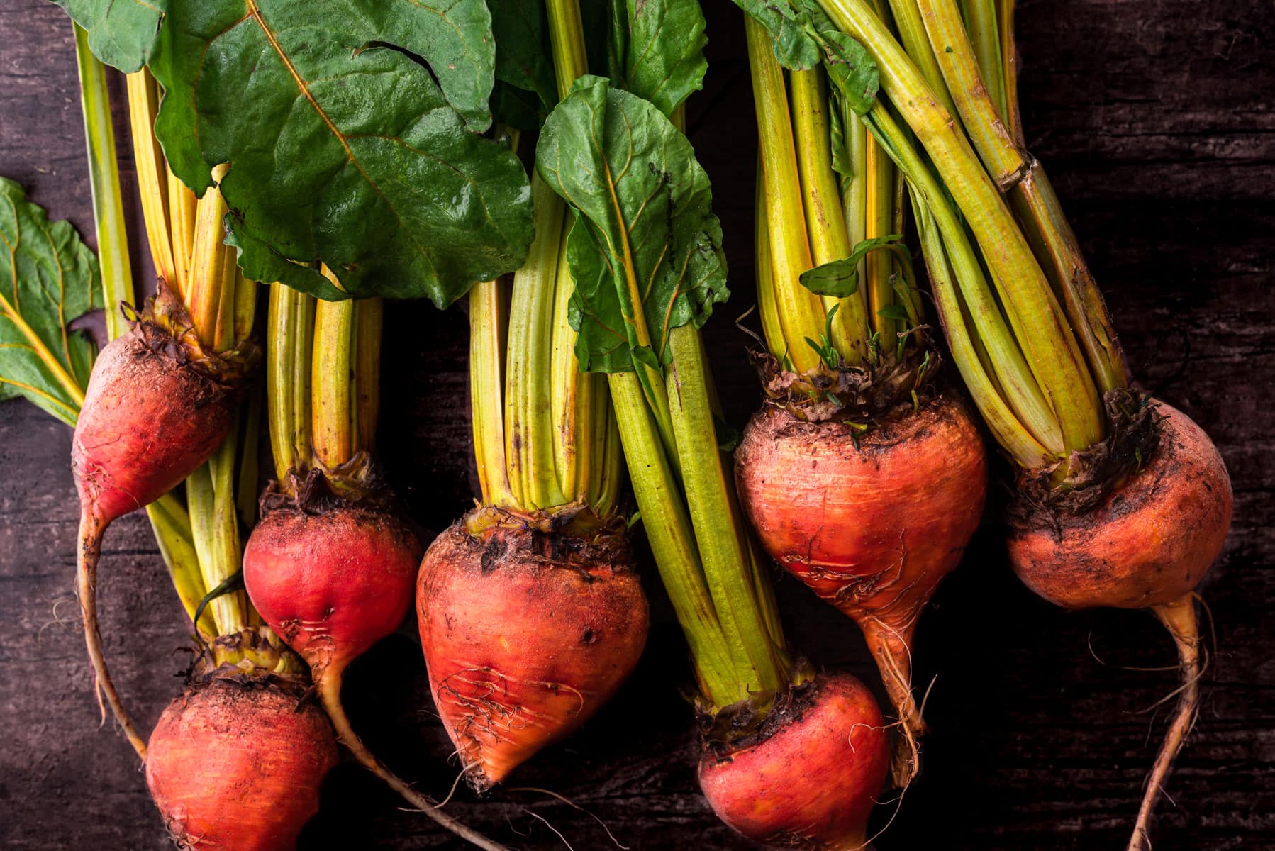 beet root with stems on wood background