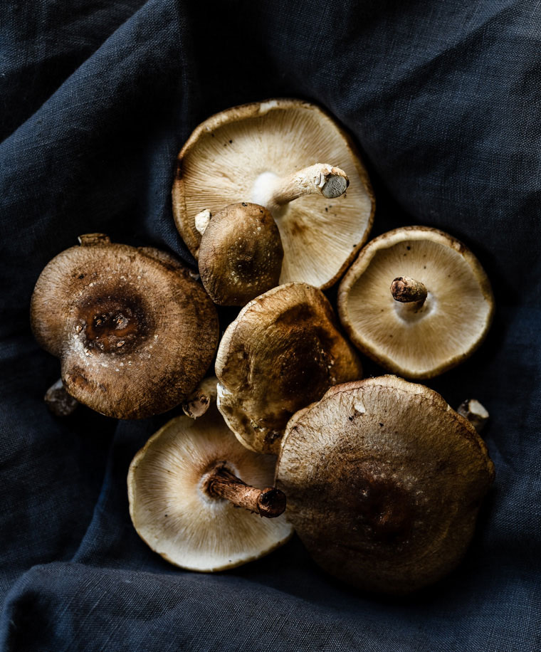 pile of mushrooms on dark background